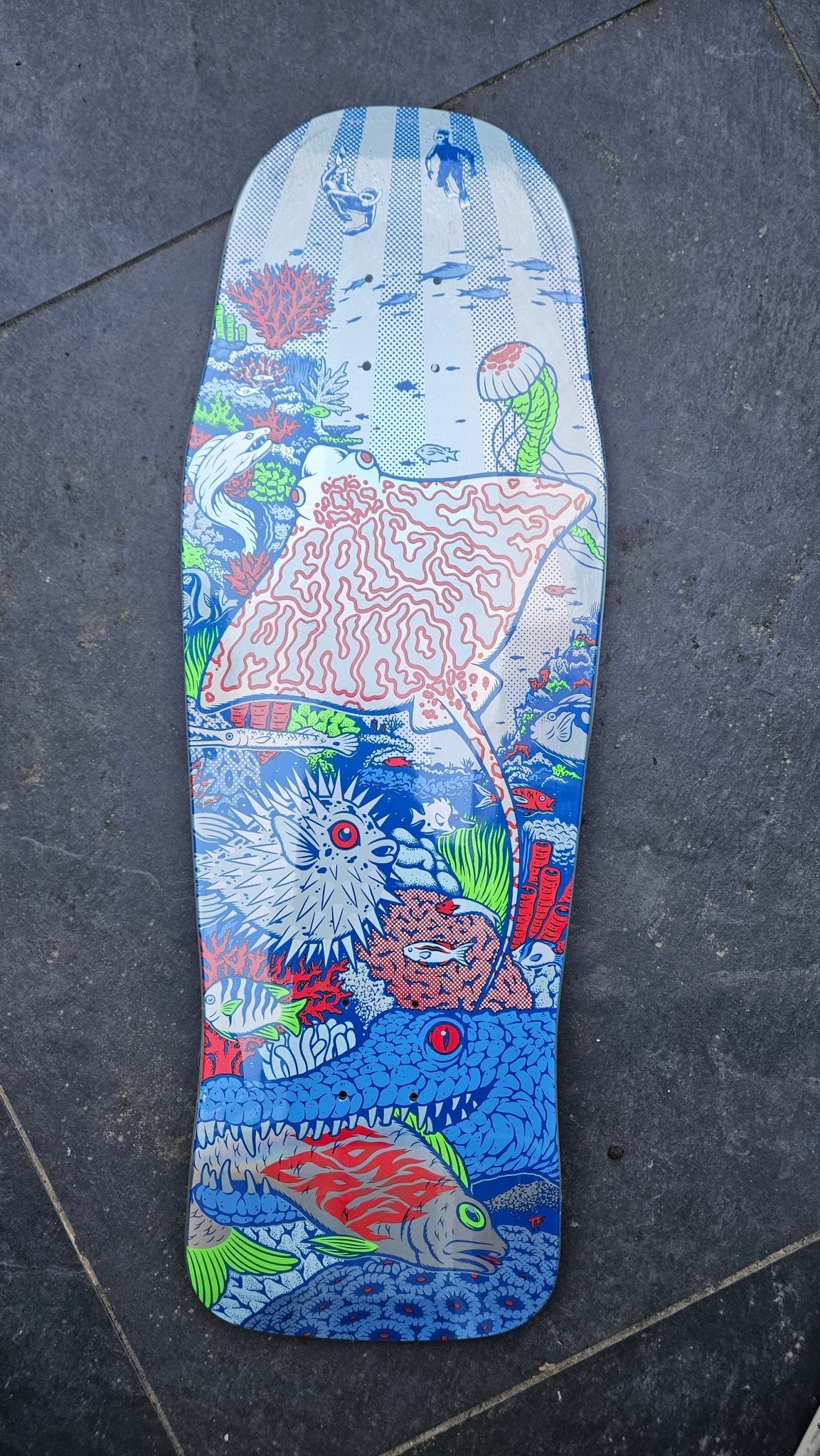 10.34in Winkowski Aquatic Prismatic Santa Cruz Shaped Skateboard Deck - with minor scratch - SkateTillDeath.com